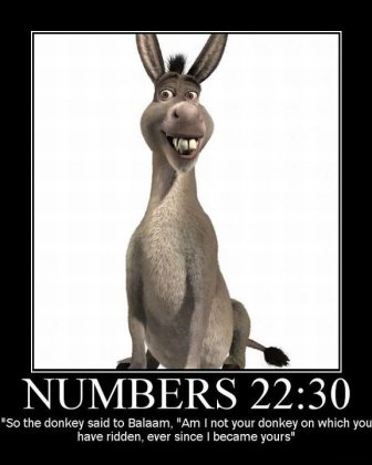 The-Bible-Talking-Donkey-atheism-gnu-new-funny-lol-positive-strong-agnosticism-theism-religion