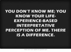 YOU-DONT-KNOW-ME-YOU-KNOW-YOUR-LIFE-EXPERIENCE-BASED-INTERPRETATIVE-PERCEPTION-OF-ME.-THERE-IS-A-DIFFERENCE